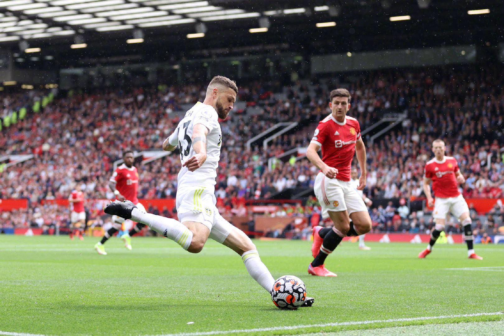 鲁日的防线 鲁日的防线